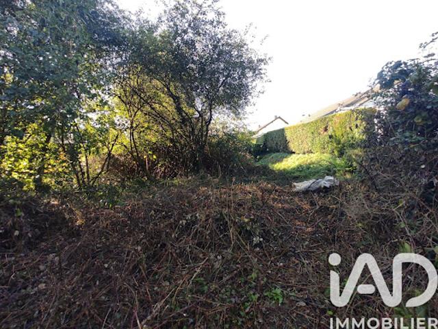 Vente Terrain 454 m2 Marigny