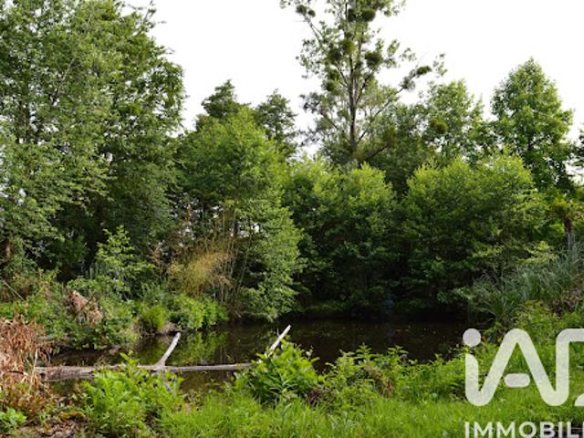 Vente Terrain 4555 m2 Guémené Penfao