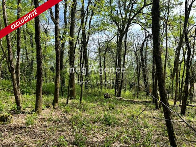 Vente Terrain constructible 4560 m2 Chancelade