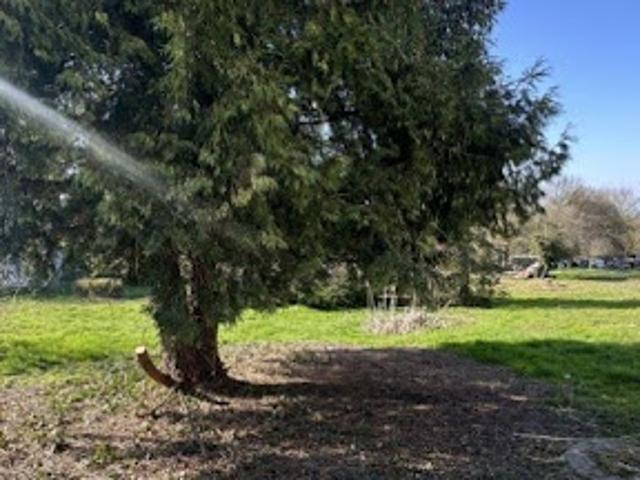 Vente Terrain 456 m2 Ozoir la ferriere