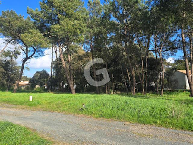 Vente Terrain 459 m2 Jard sur Mer