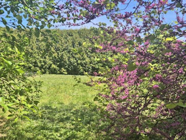 Vente Terrain 459 m2 La Jarrie