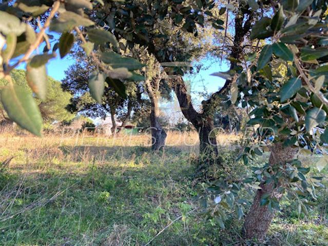Vente Terrain 0 m2 Saint Quentin la Poterie