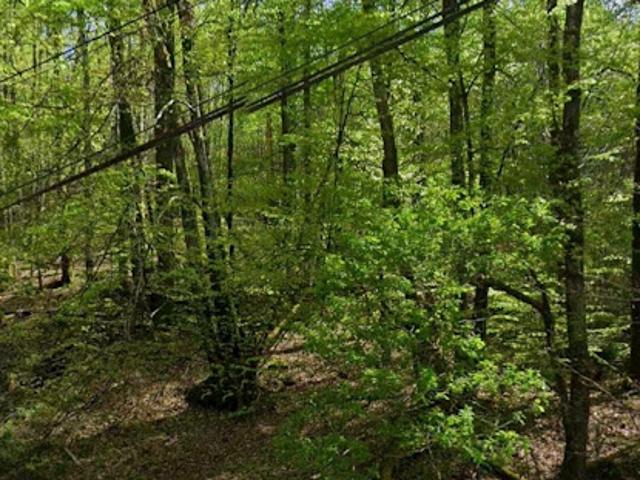 Vente Terrain 4600 m2 Compreignac