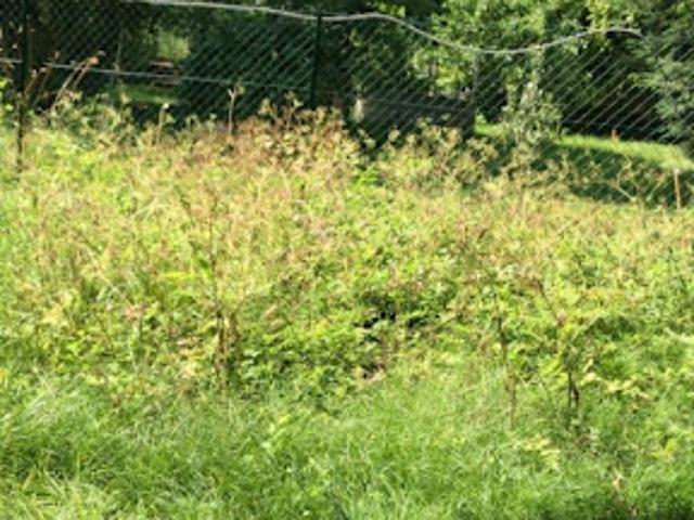 Vente Terrain 460 m2 Esbly