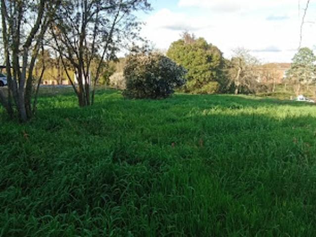 Vente Terrain 460 m2 Plaisance du Touch