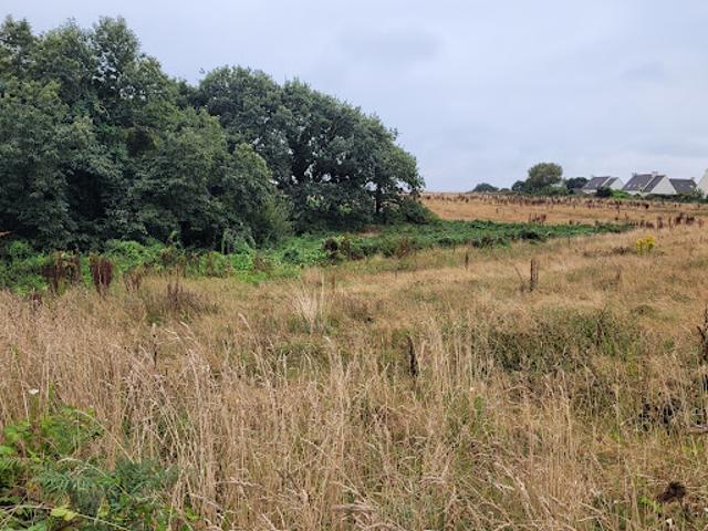 Vente Terrain 461 m2 Lannilis