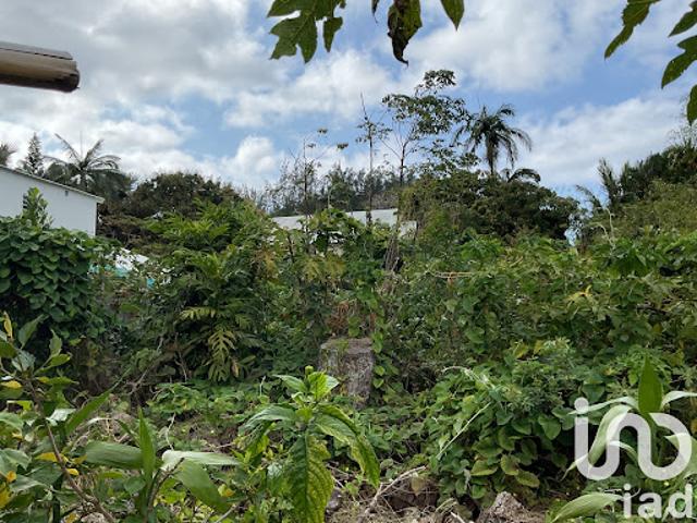 Vente Terrain 462 m2 Saint joseph