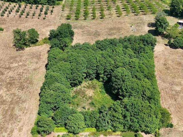 Vente Terrain 4636 m2 Prats de Carlux