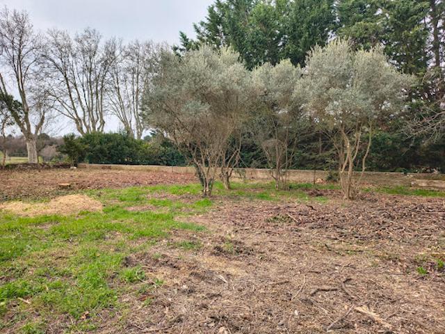 Vente Terrain 465 m2 Saint Cannat