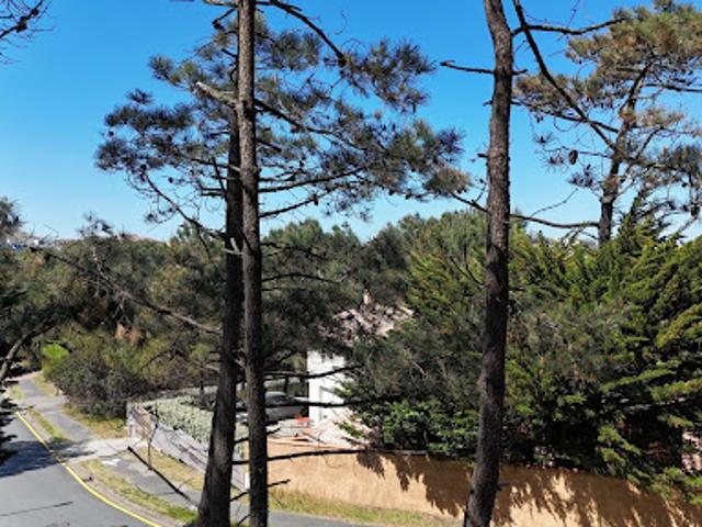 Vente Terrain 468 m2 Lacanau