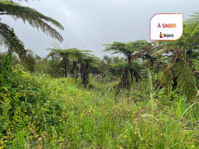 Vente Terrain 469 m2 La Plaine Des Palmistes