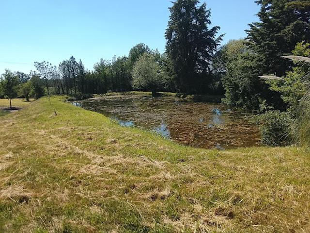 Vente Terrain 4700 m2 Lureuil