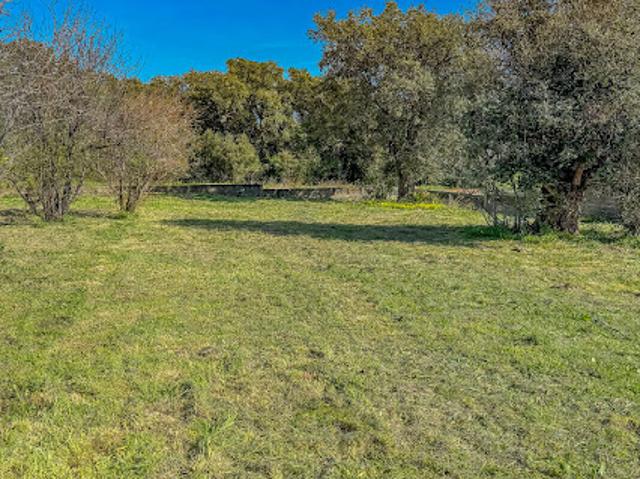 Vente Terrain 470 m2 Biguglia