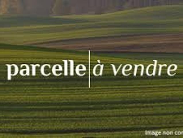 Vente Terrain 470 m2 Saint Cyr sur Menthon