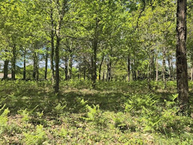 Vente Terrain 472 m2 Belin Béliet