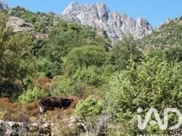 Vente Terrain 47407 m2 Popolasca