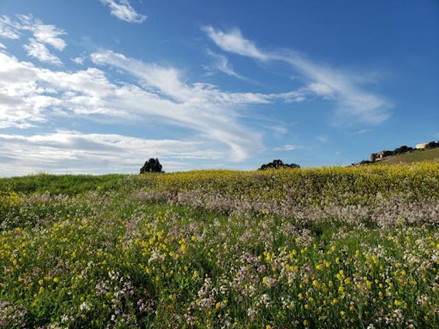Vente Terrain 474 m2 Mirebeau sur Bèze