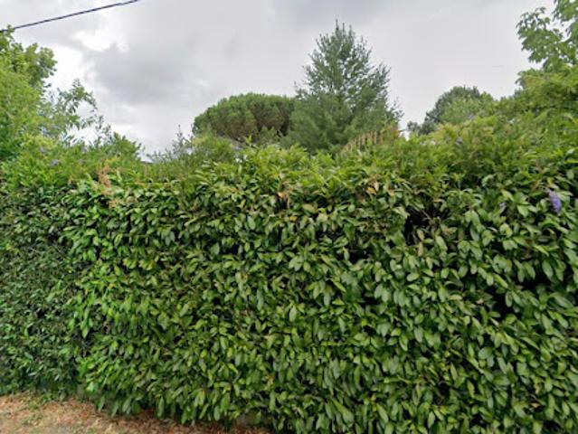 Vente Terrain 475 m2 Bordeaux