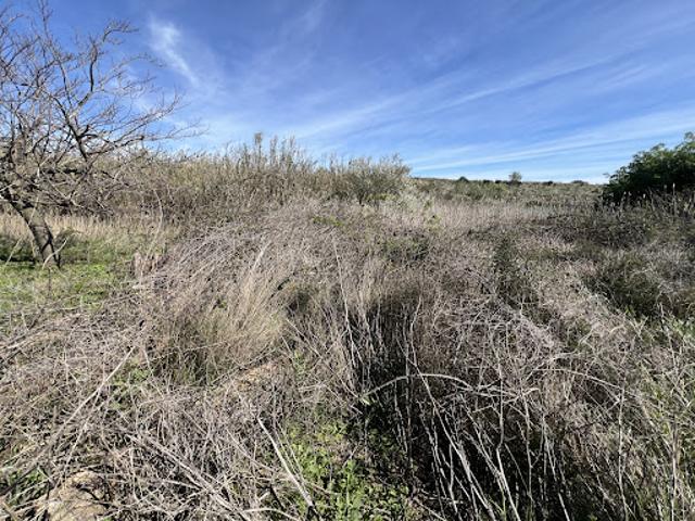 Vente Terrain 476 m2 Serignan