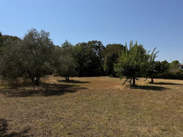 Vente Terrain 478 m2 Saint Jean de Cornies