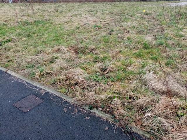 Vente Terrain 478 m2 Sainte Marguerite sur Fauville