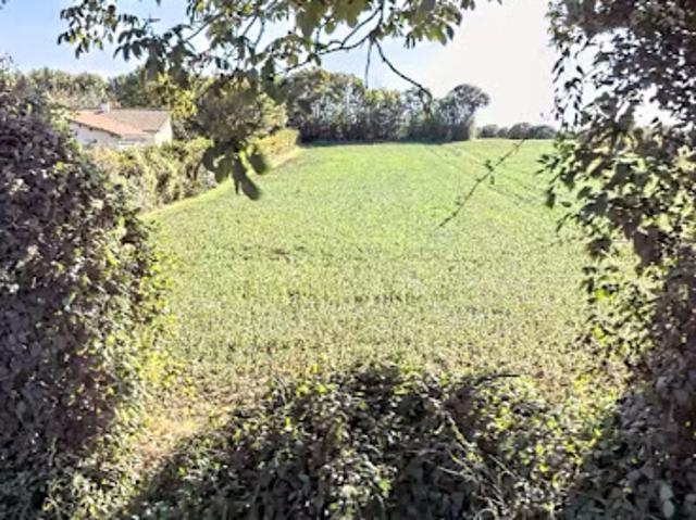 Vente Terrain 4790 m2 Chizé