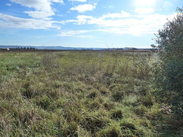 Vente Terrain 4795 m2 Brignac