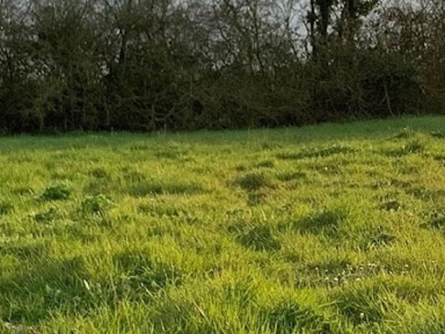 Vente Terrain 479 m2 La Bernerie en Retz