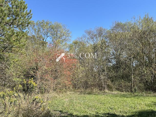 Vente Terrain 4800 m2 Salindres