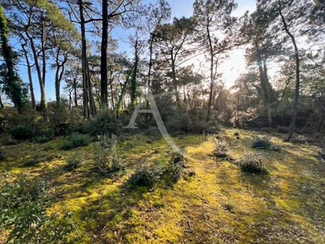 Vente Terrain 4808 m2 Saint Jean de Monts