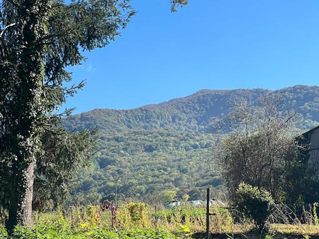 Vente Terrain 480 m2 Urau
