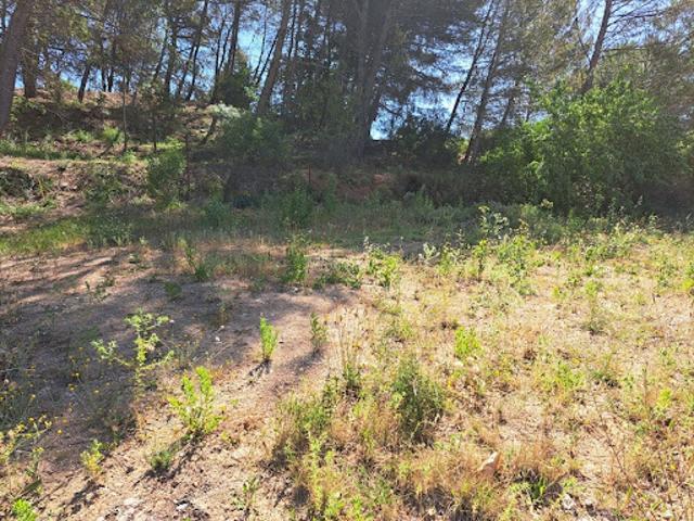Vente Terrain 480 m2 Peynier