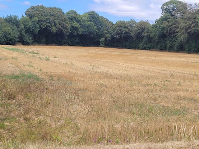 Vente Terrain 480 m2 Plouigneau