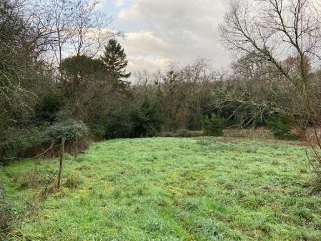 Vente Terrain 480 m2 Saint Selve