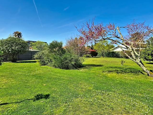 Vente Terrain 320 m2 Seignosse