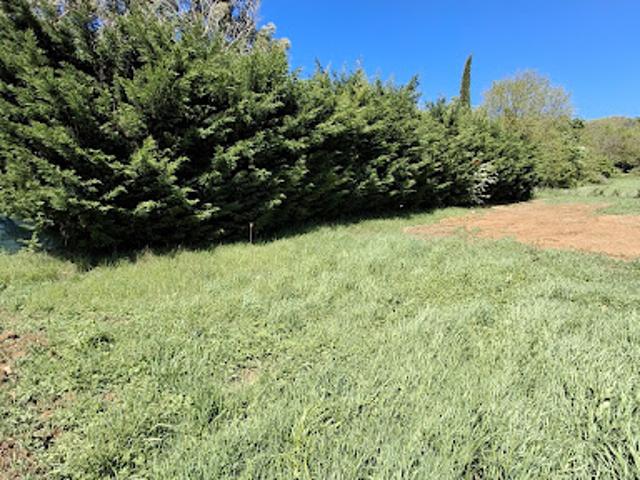 Vente Terrain 481 m2 Anjou