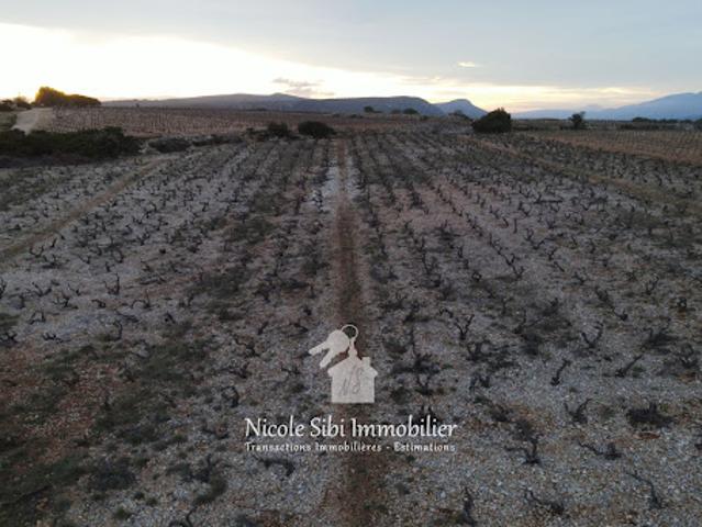 Vente Terrain 4820 m2 Tautavel