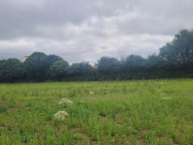 Vente Terrain 482 m2 Landivisiau