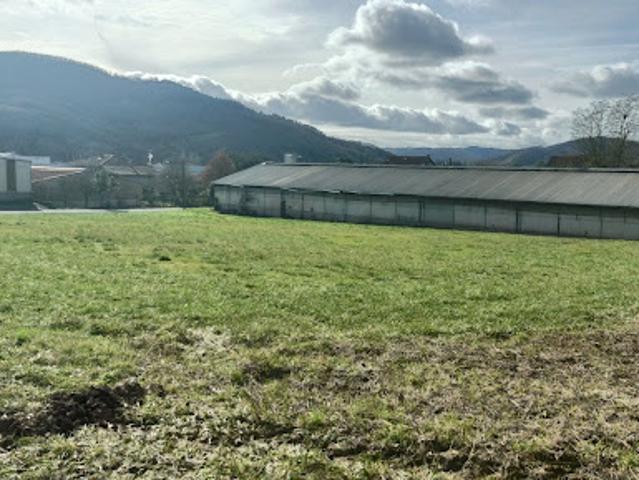 Vente Terrain 4838 m2 Saint Affrique