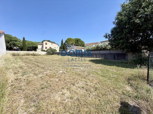 Vente Terrain 484 m2 Vendémian