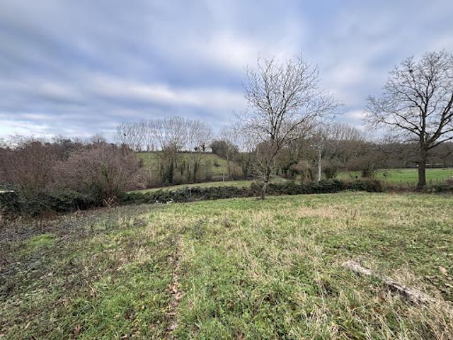 Vente Terrain 485 m2 Mogneneins