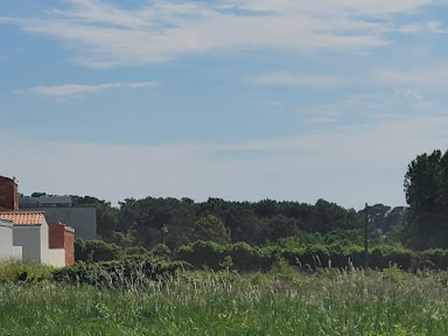 Vente Terrain 485 m2 Saint Palais sur Mer