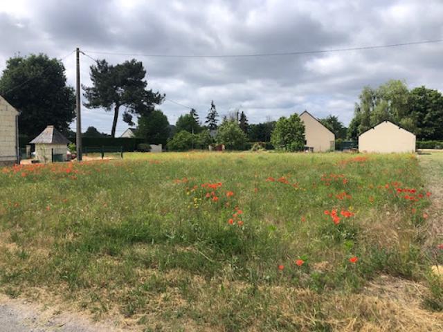 Vente Terrain 485 m2 Sarrigné