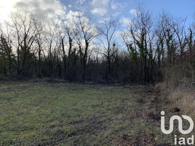 Vente Terrain 4860 m2 Misy sur Yonne