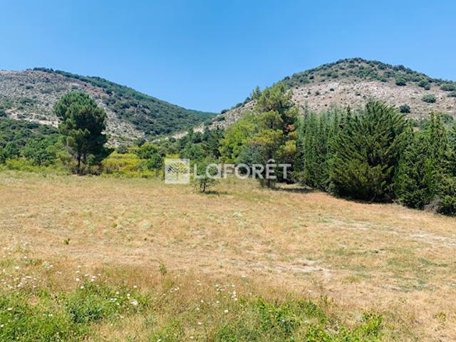 Vente Terrain 4880 m2 Sournia