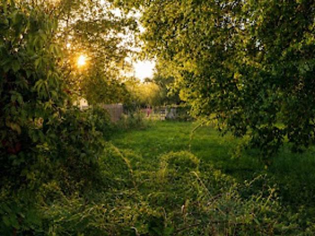 Vente Terrain 488 m2 Lanton