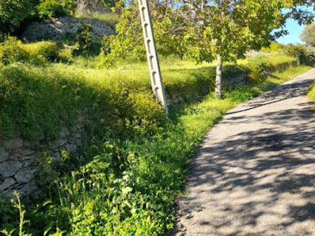 Vente Terrain 493 m2 Santo Pietro di Tenda