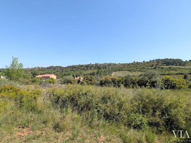 Vente Terrain 4905 m2 Cazedarnes