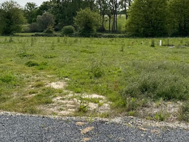 Vente Terrain 490 m2 Ahuillé